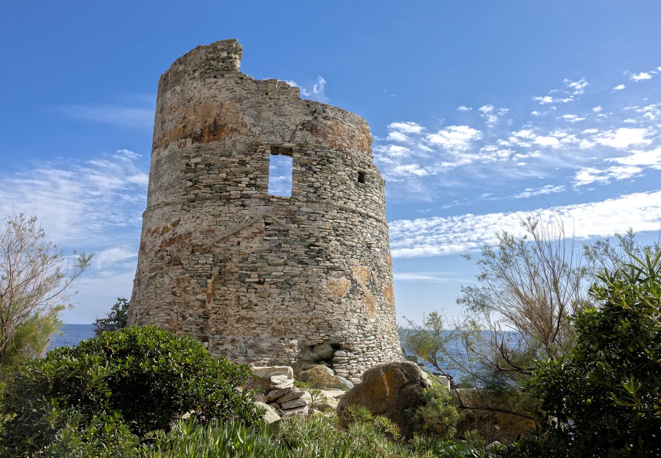 Villa à Brando - Villa les Roses