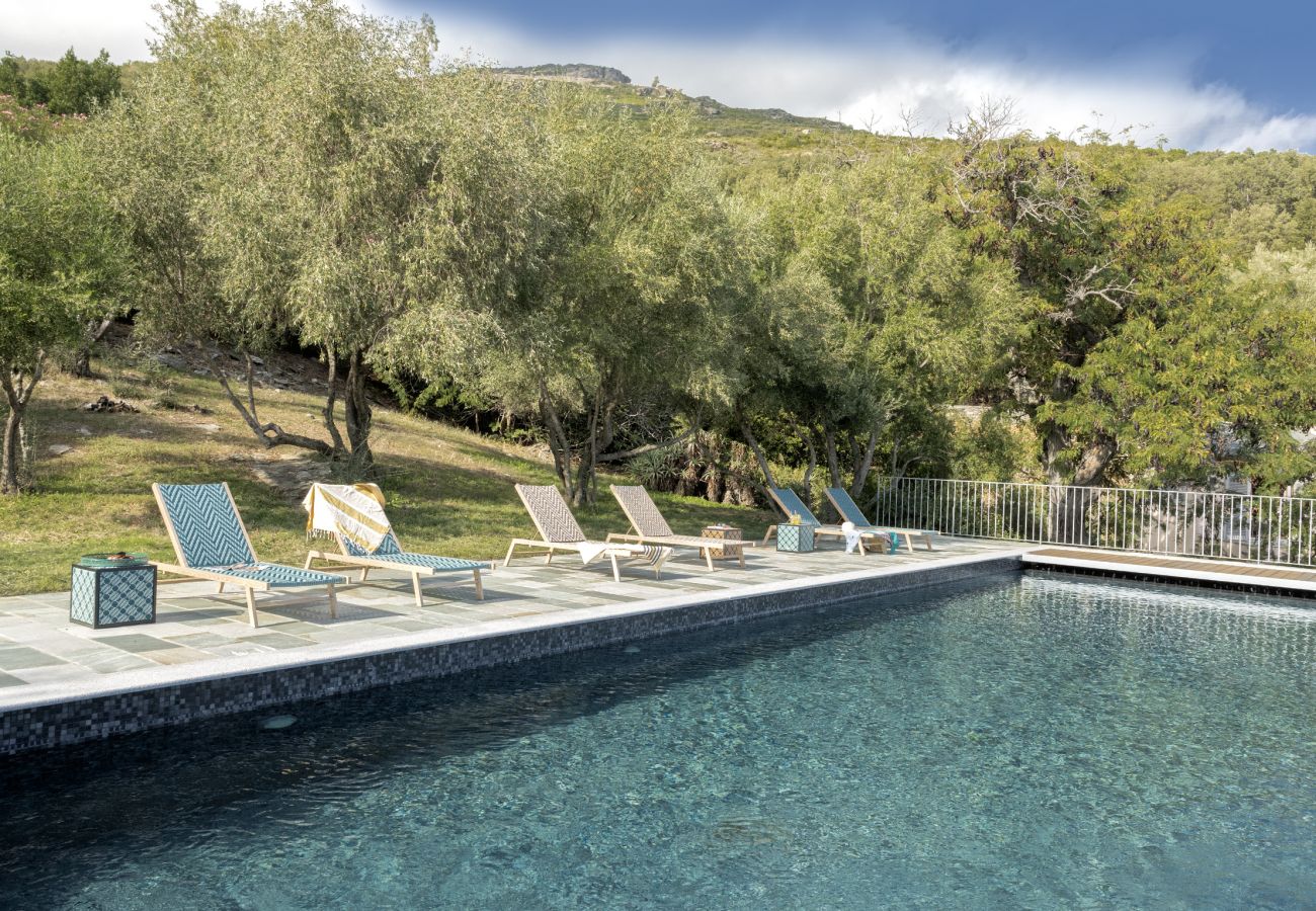 Villa à Brando - Villa Cintolino