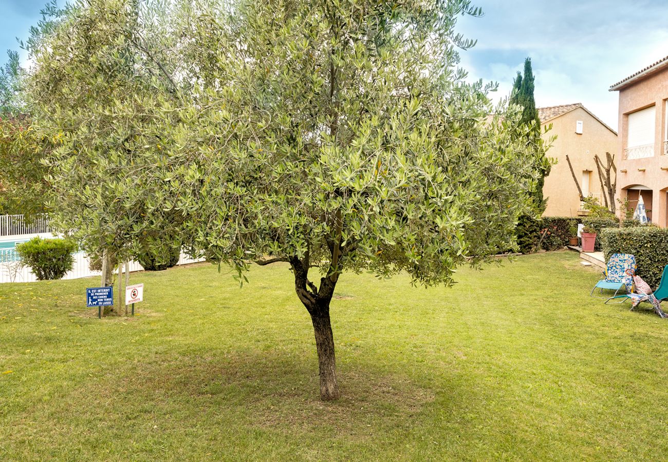 Appartement à Oletta - Casarella Massari
