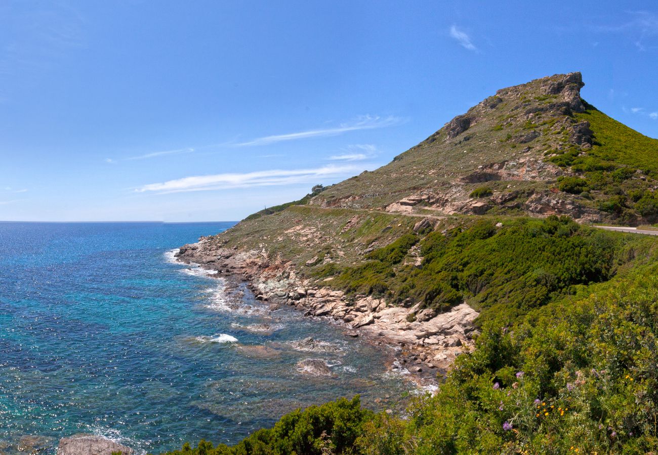 Appartement à Pietracorbara - Casa Brésil in Corsica