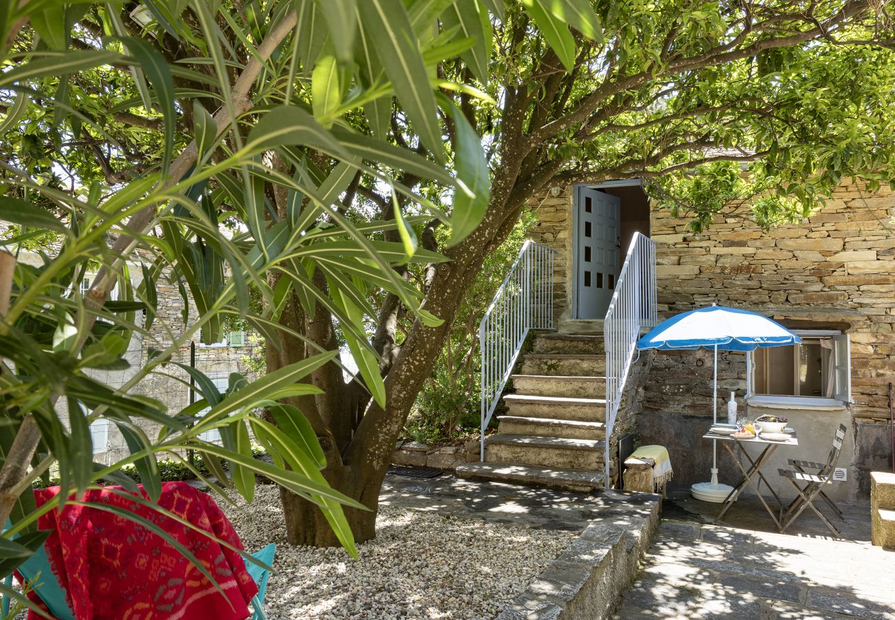 Villa à Brando - La Bergerie