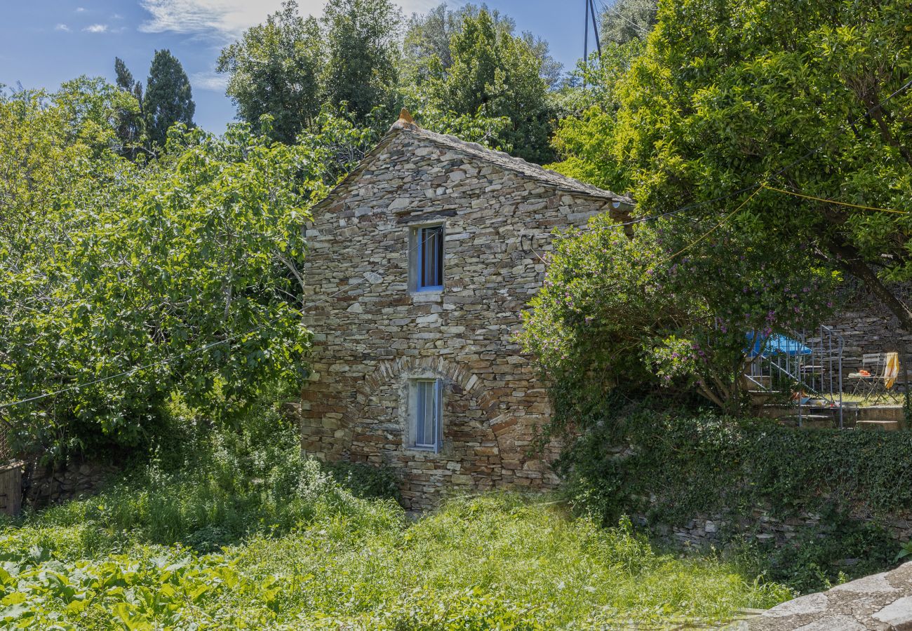 Villa à Brando - La Bergerie