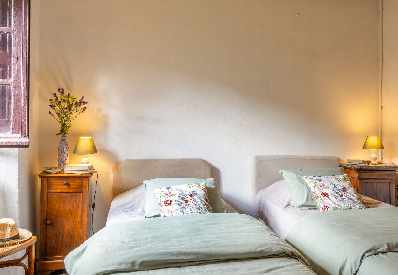 Maison à Olmi-Cappella - Casa Di Babbo