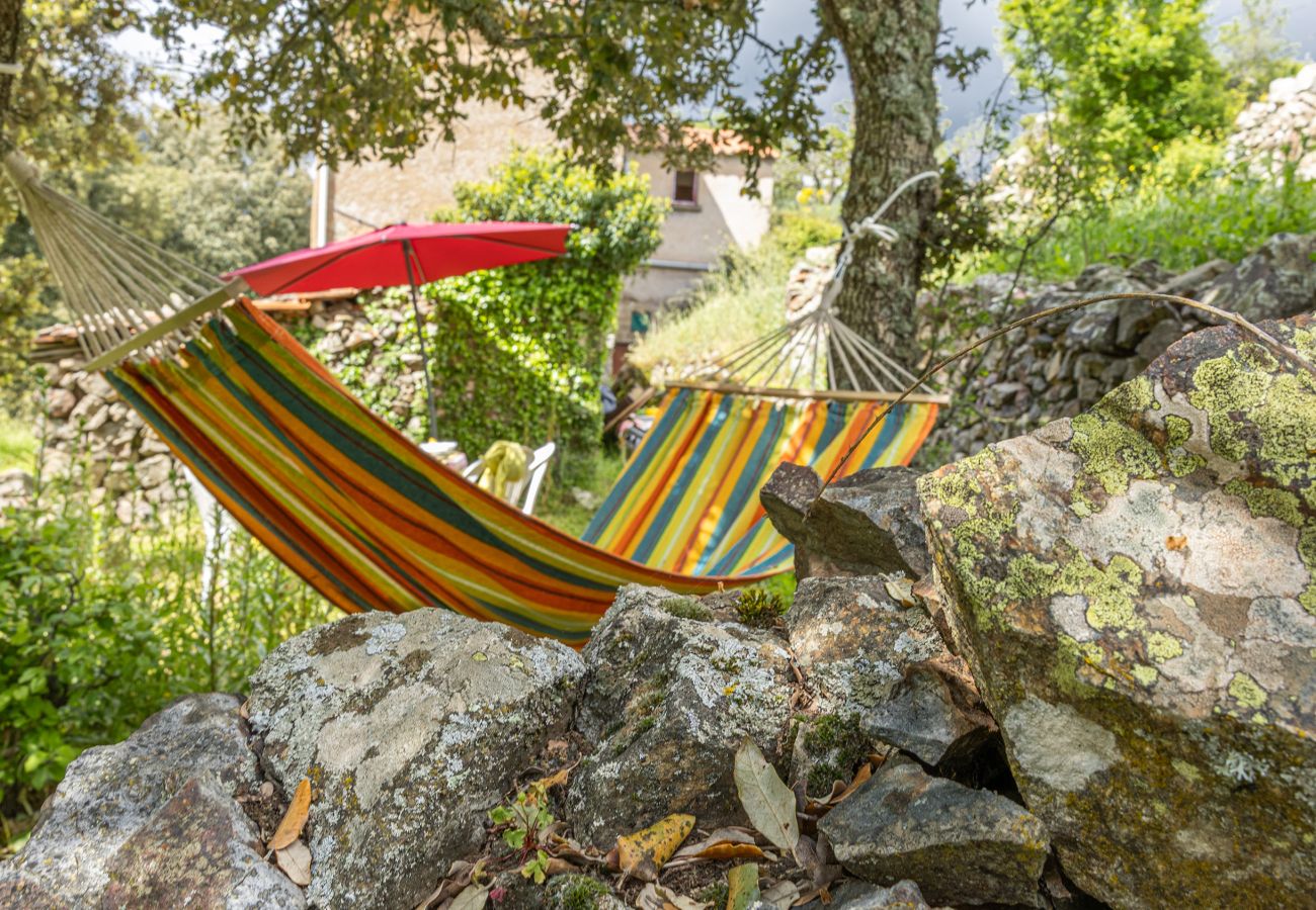 Maison à Olmi-Cappella - Casa Di Babbo