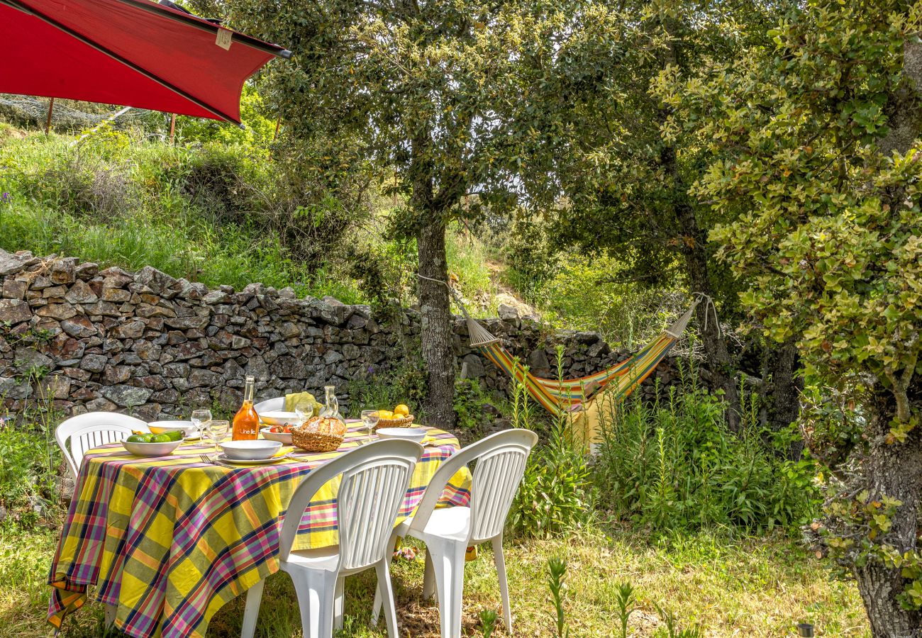 Maison à Olmi-Cappella - Casa Di Babbo