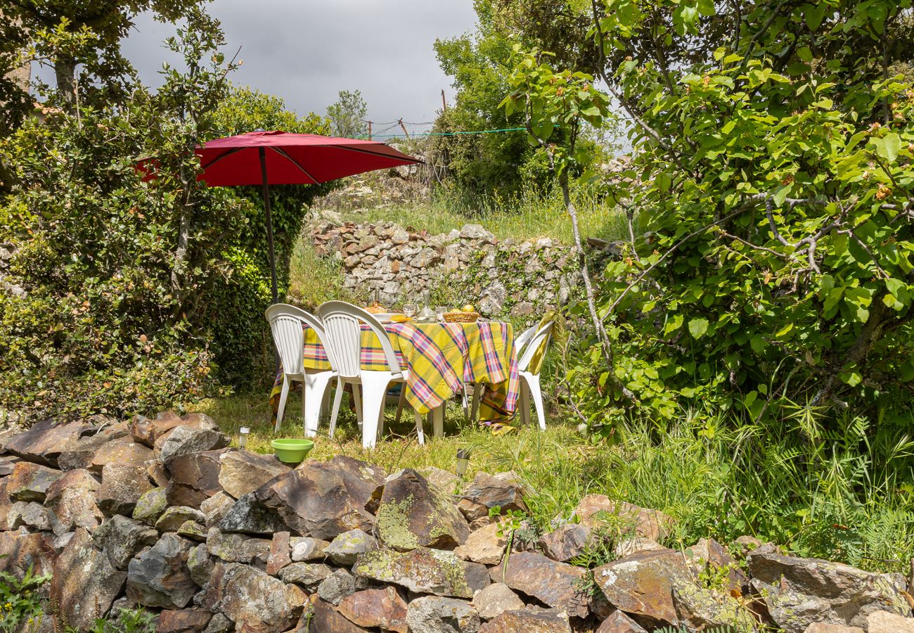 Maison à Olmi-Cappella - Casa Di Babbo