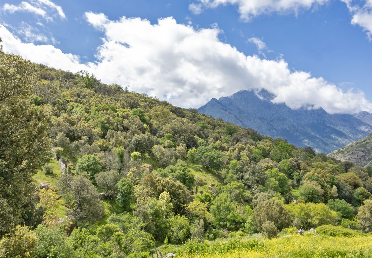 Maison à Olmi-Cappella - Casa Di Babbo