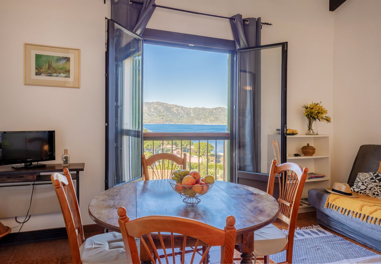 Appartement à Saint-Florent - Casa Olivia