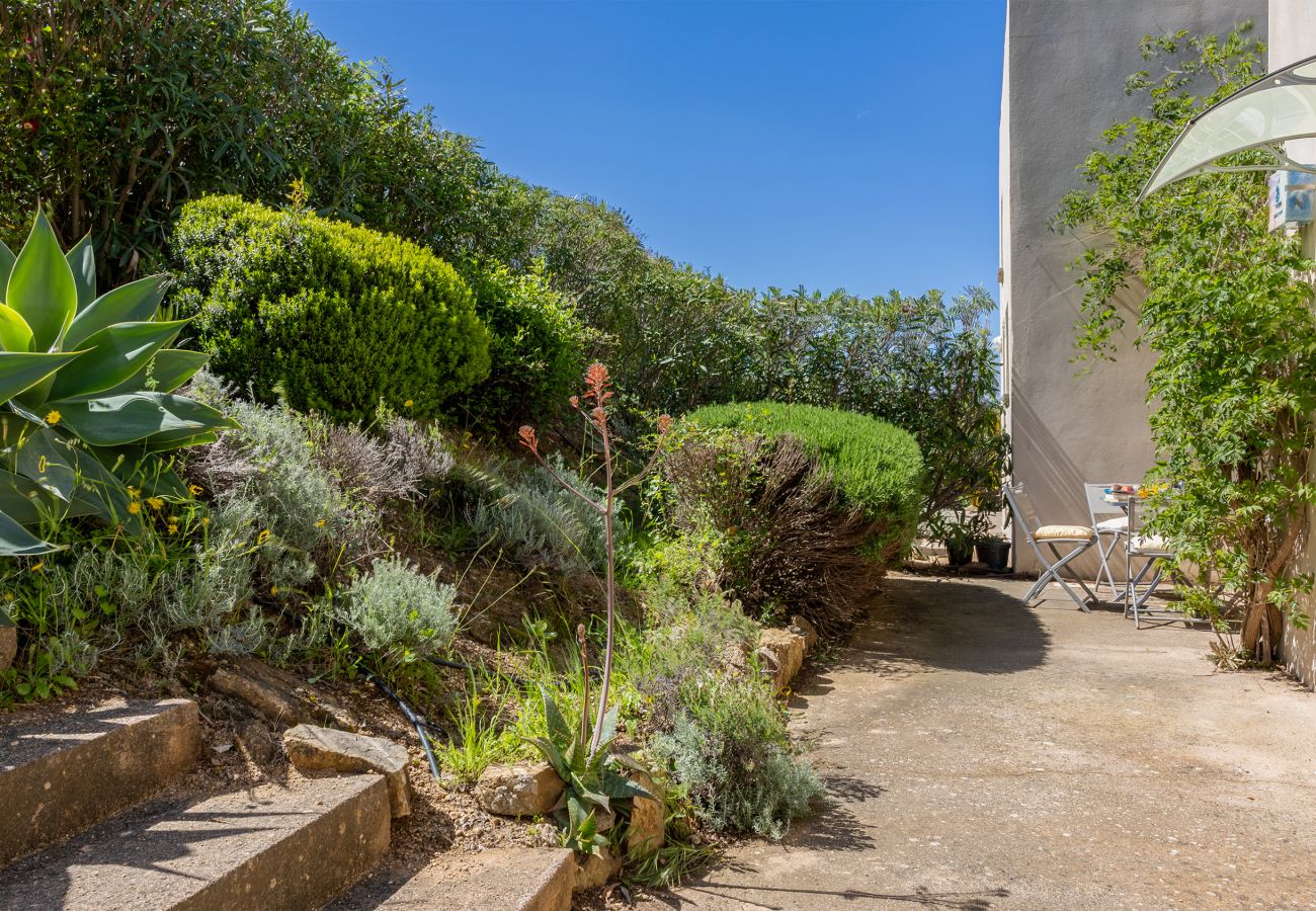 Appartement à Lumio - Casa Libecciu