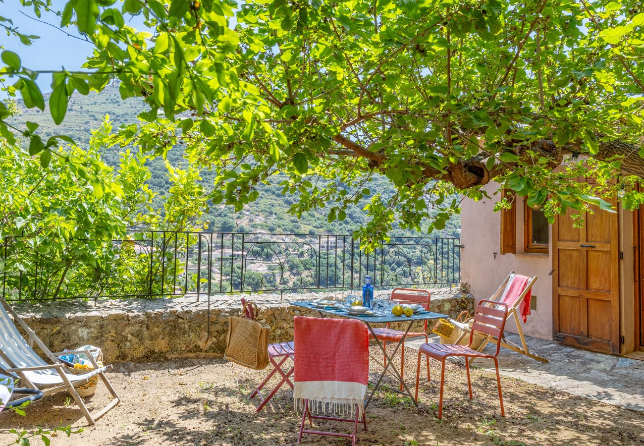 Maison à Corbara - Casa Le Fornu