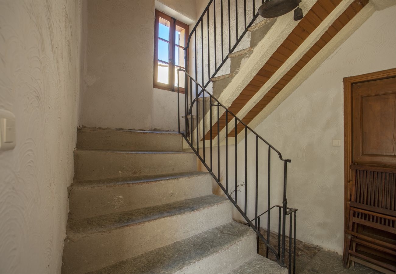 Appartement à Santo-Pietro-di-Tenda - Casa Tenda